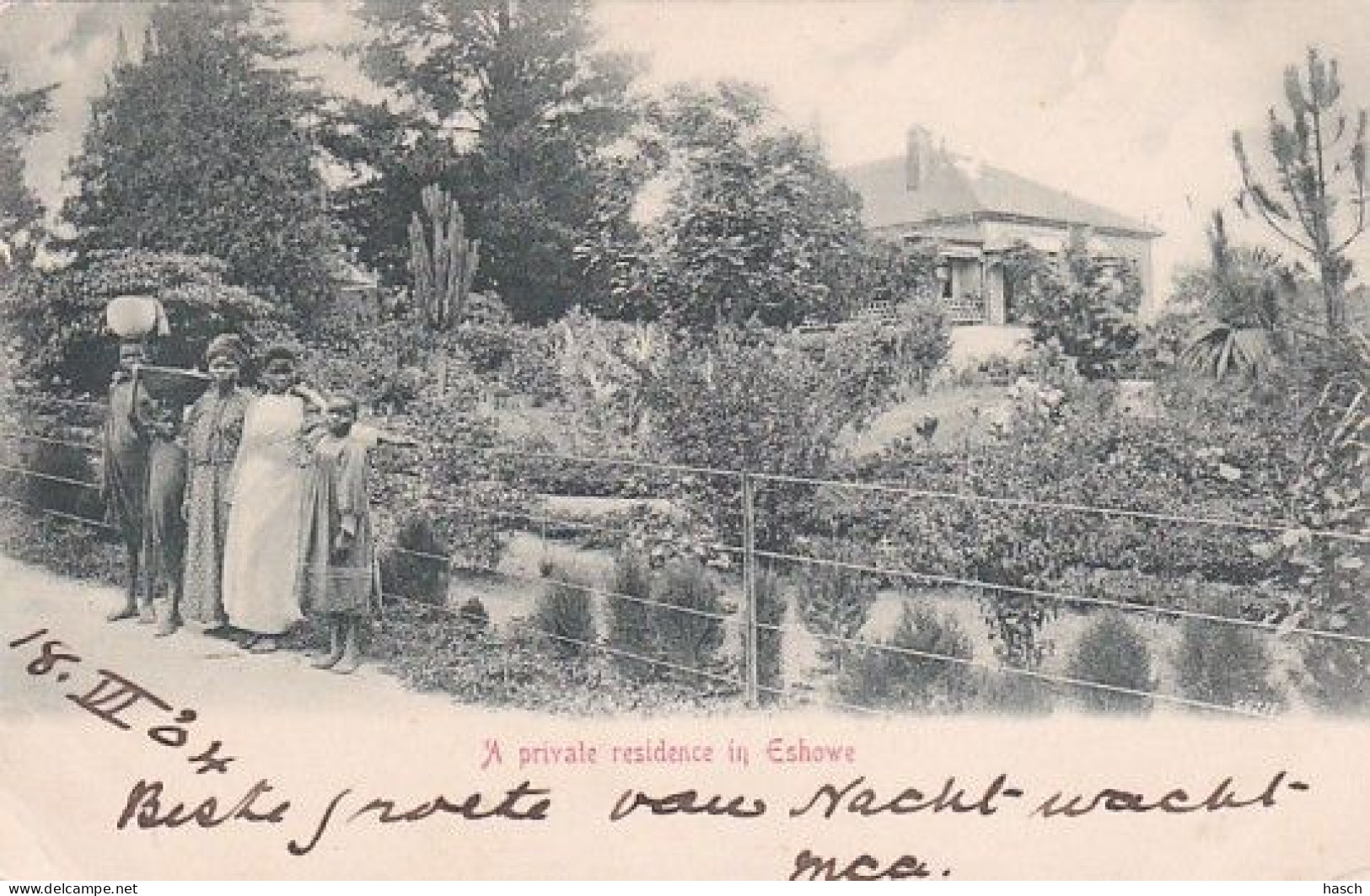 48231 A Private Residence In Eshowe. (postmark 1904)(see Corners, Little Defect Right Top) - Afrique Du Sud