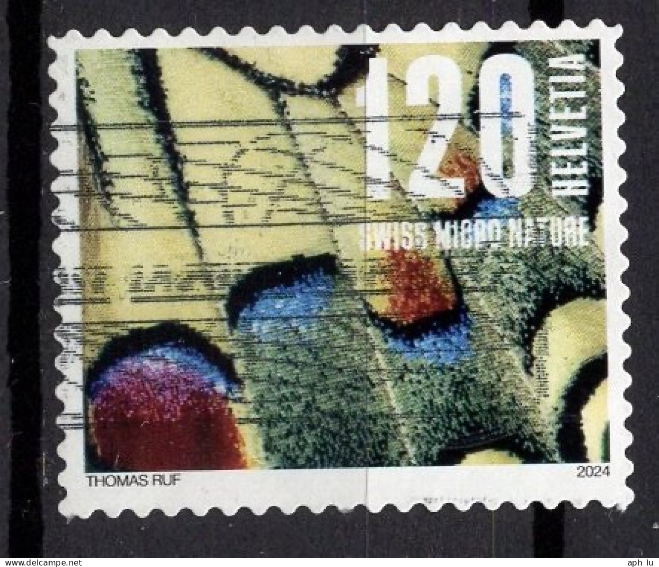 Marke 2024 Gestempelt (h601005) - Used Stamps