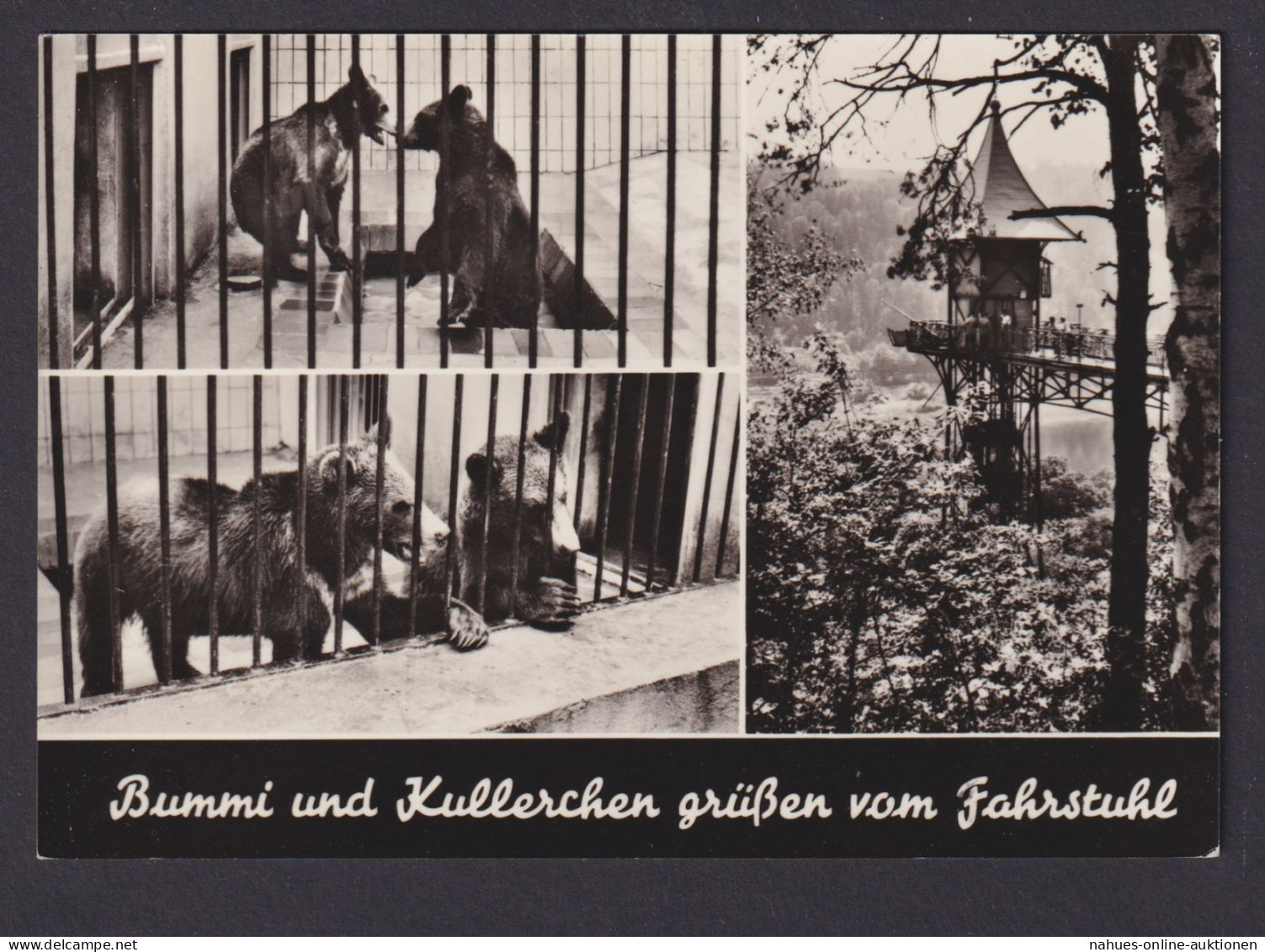 Ansichtskarte Bad Schandau Sachsen Tiere Bären Bummi Und Kullerchen - Other & Unclassified