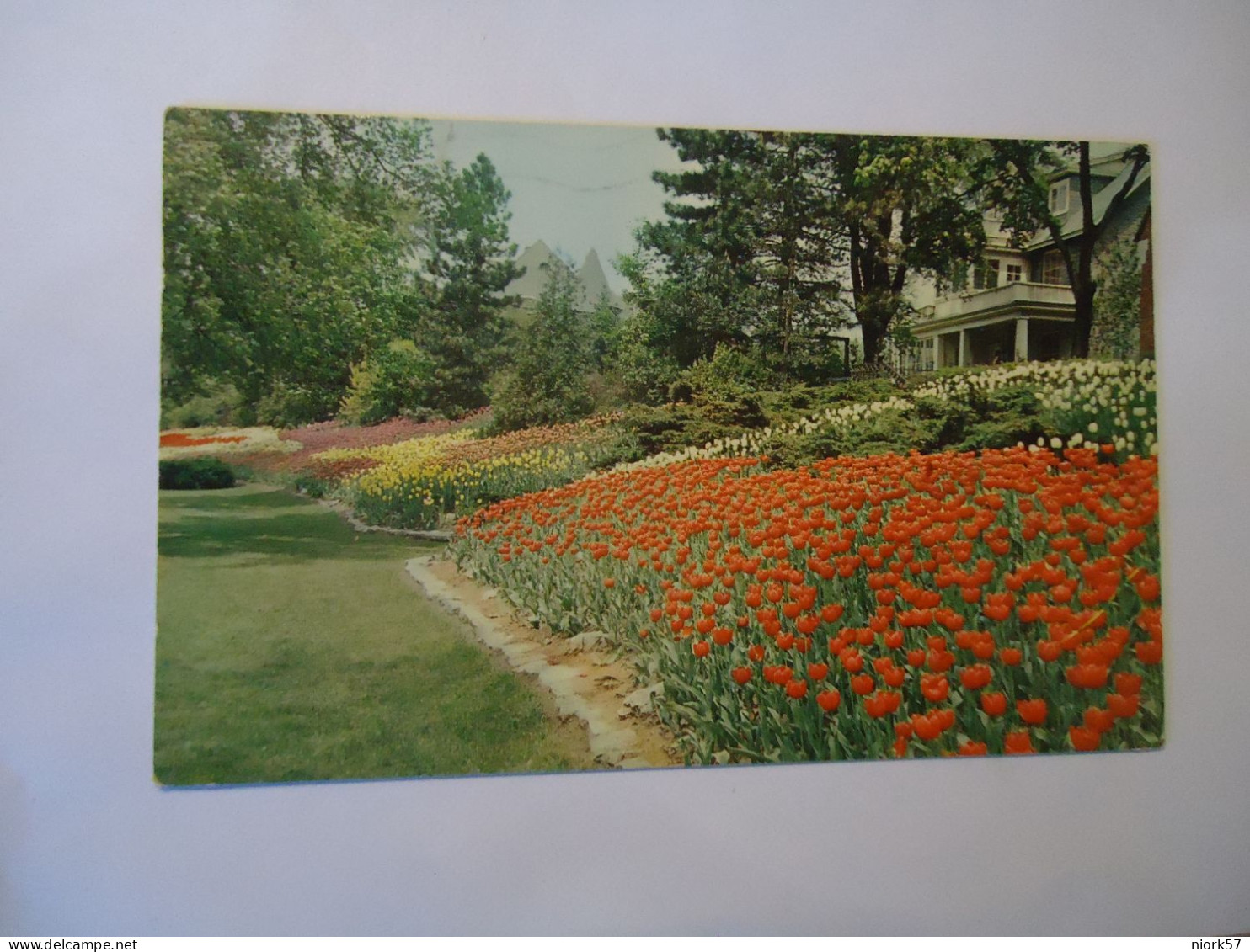 CANADA  POSTCARDS OTTAWA   1961 TULIP FESTIVAL - Ohne Zuordnung