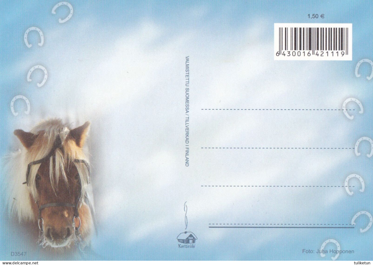 Horse - Cheval - Paard - Pferd - Cavallo - Cavalo - Caballo - Häst - Korttiriihi - Finland - Pferde