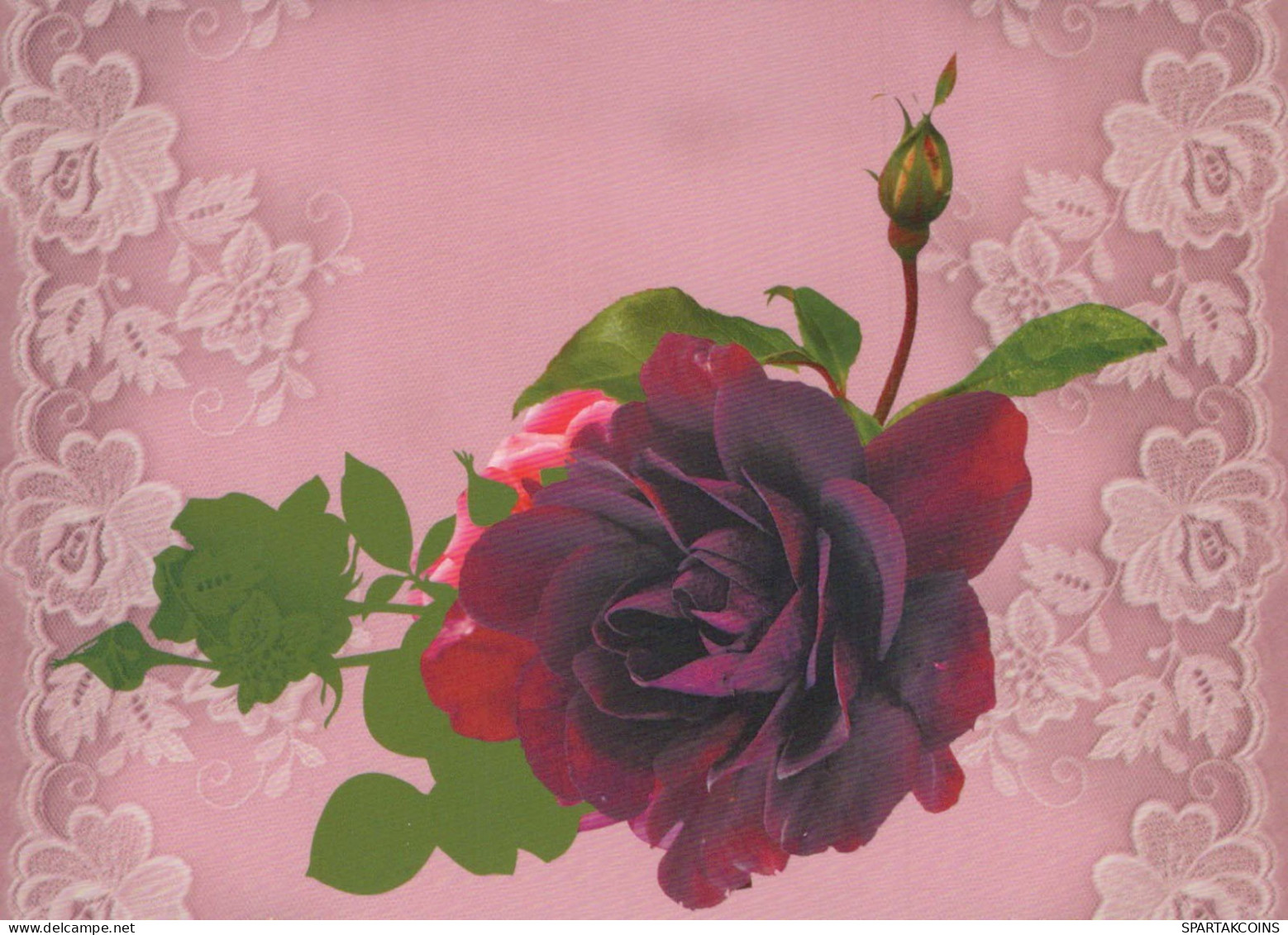 FLOWERS Vintage Postcard CPSM #PBZ104.A - Flowers