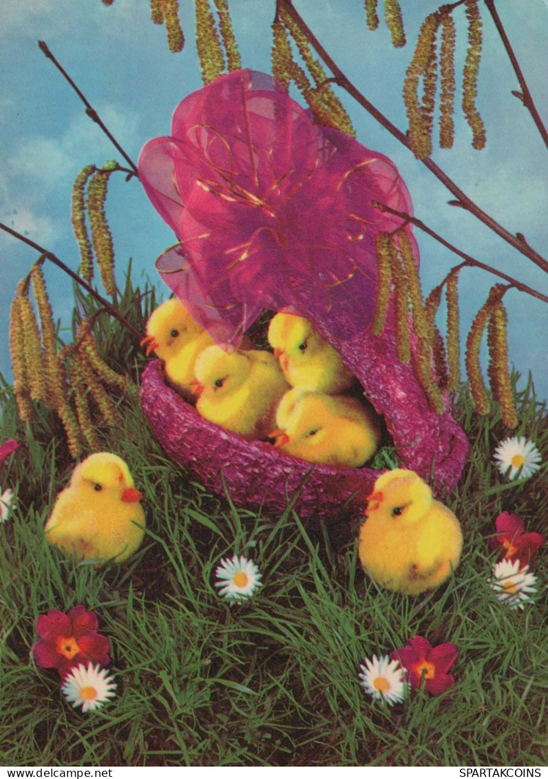 EASTER CHICKEN EGG Vintage Postcard CPSM #PBO856.A - Easter