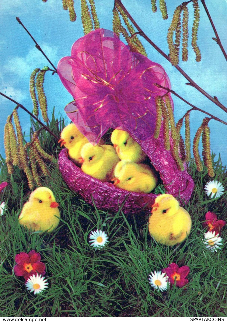 EASTER CHICKEN EGG Vintage Postcard CPSM #PBO856.A - Pâques