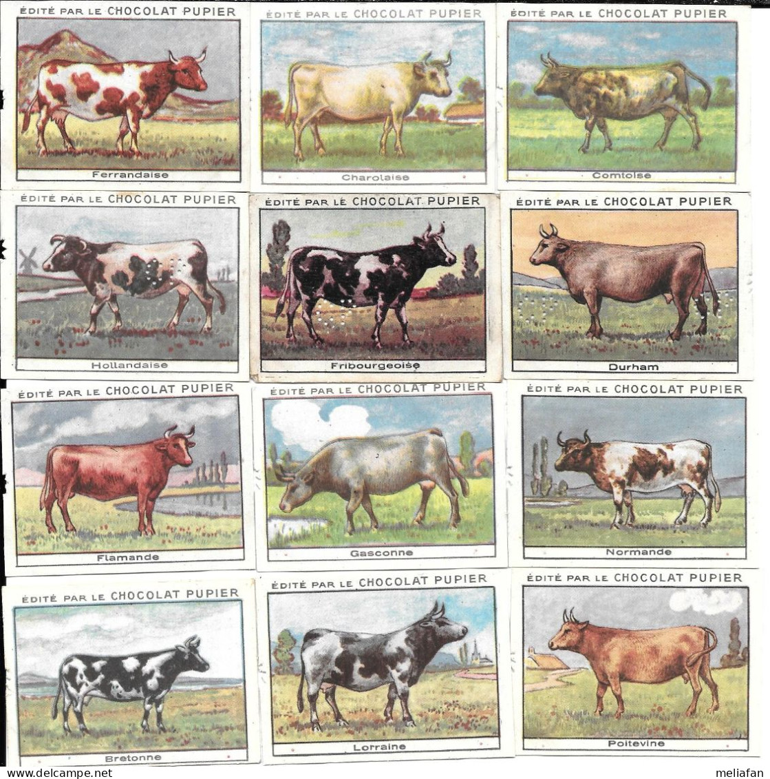 AZ73 - SERIE COMPLETE 12 IMAGES CHOCOLAT PUPIER - VACHES - Altri & Non Classificati