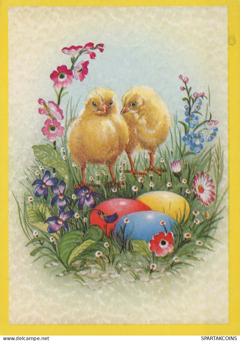 EASTER CHICKEN EGG Vintage Postcard CPSM #PBO711.A - Ostern