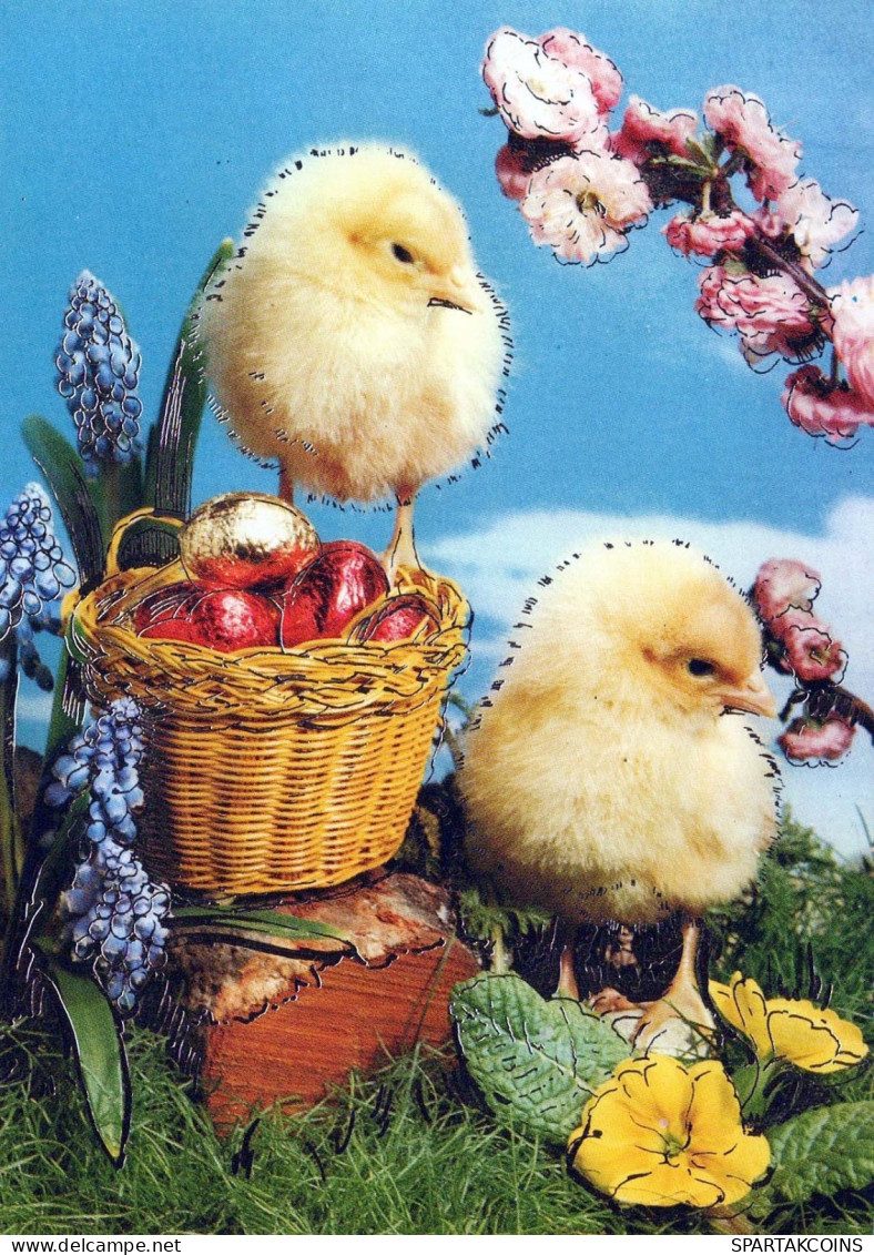 OSTERN HUHN EI Vintage Ansichtskarte Postkarte CPSM #PBO700.A - Easter