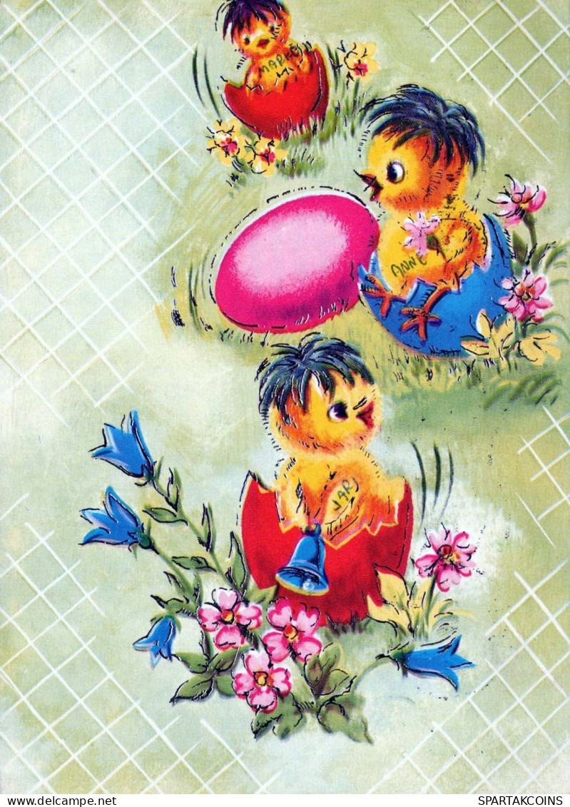EASTER CHICKEN EGG Vintage Postcard CPSM #PBO576.A - Pâques