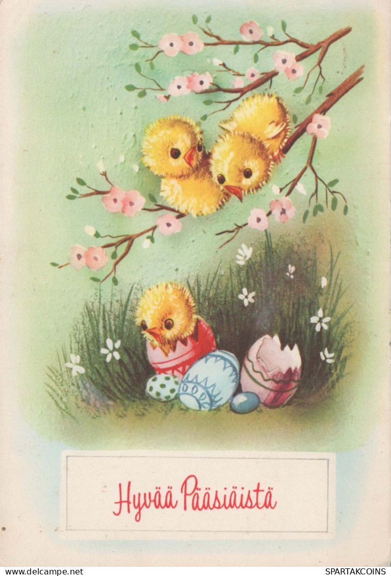 PASQUA POLLO UOVO Vintage Cartolina CPSM #PBO588.A - Easter