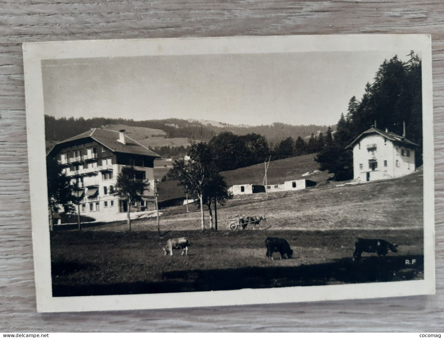 74 MEGEVE STE GENEVIEVE ET LE CHAMOIS PENSION DE JEUNES FILLES - Megève