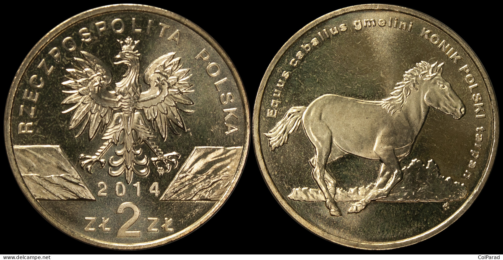 POLAND COIN 2 ZLOTY - KM#Y.896 Unc - 2014 - Polish Konik Horse - Polen