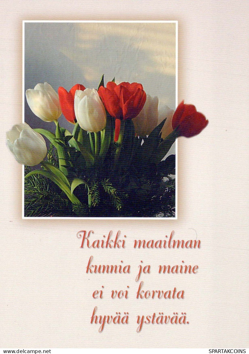 FLOWERS Vintage Ansichtskarte Postkarte CPSM #PBZ738.A - Flowers
