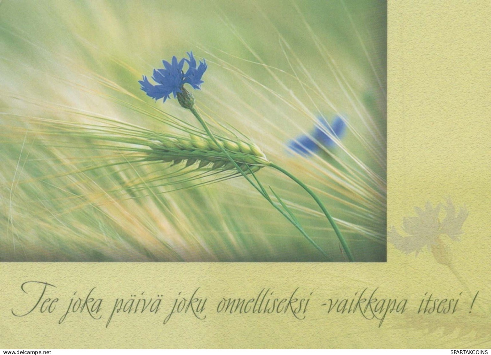 FLOWERS Vintage Ansichtskarte Postkarte CPSM #PBZ478.A - Flowers