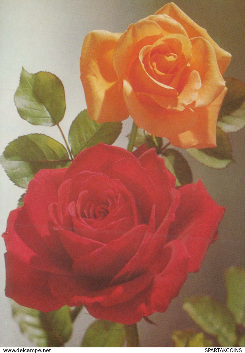 FIORI Vintage Cartolina CPSM #PAS081.A - Flowers