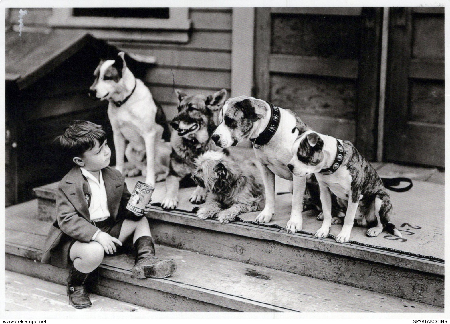 PERRO Animales Vintage Tarjeta Postal CPSM #PAN883.A - Chiens