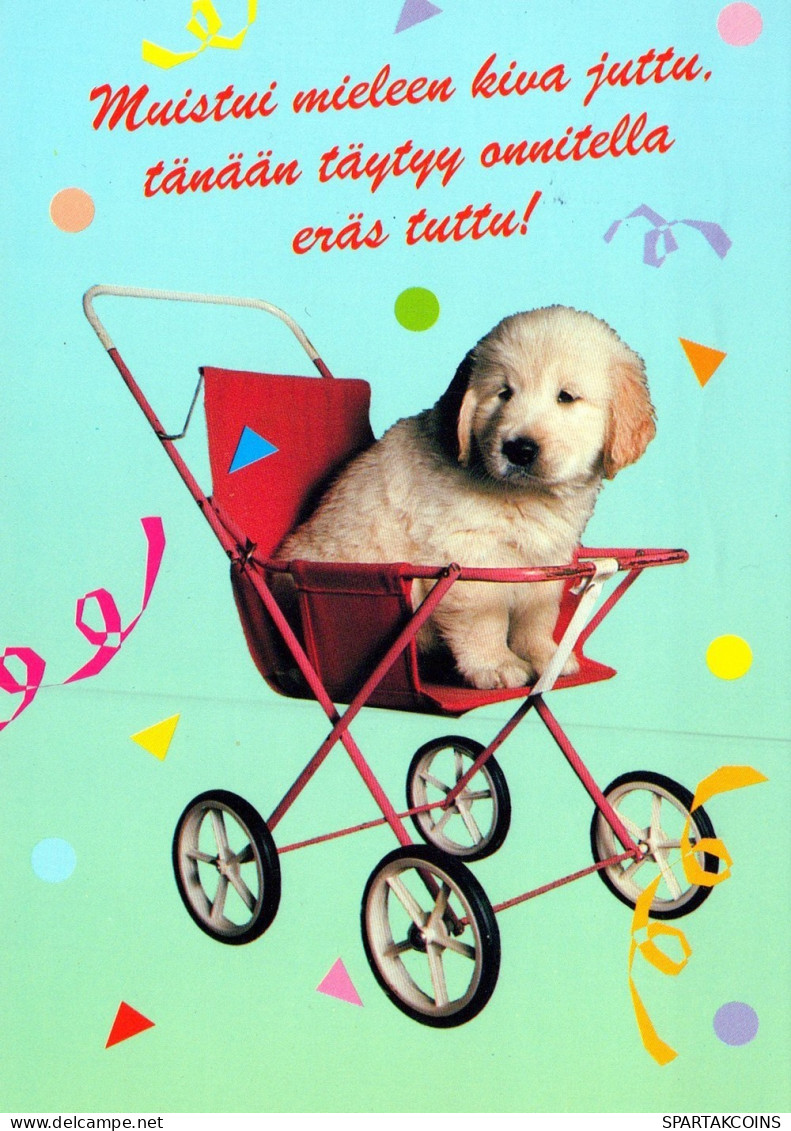 DOG Animals Vintage Postcard CPSM #PAN817.A - Honden