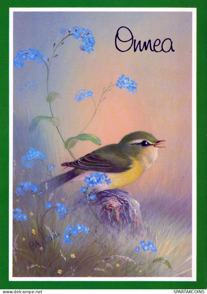 UCCELLO Animale Vintage Cartolina CPSM #PAN239.A - Vögel