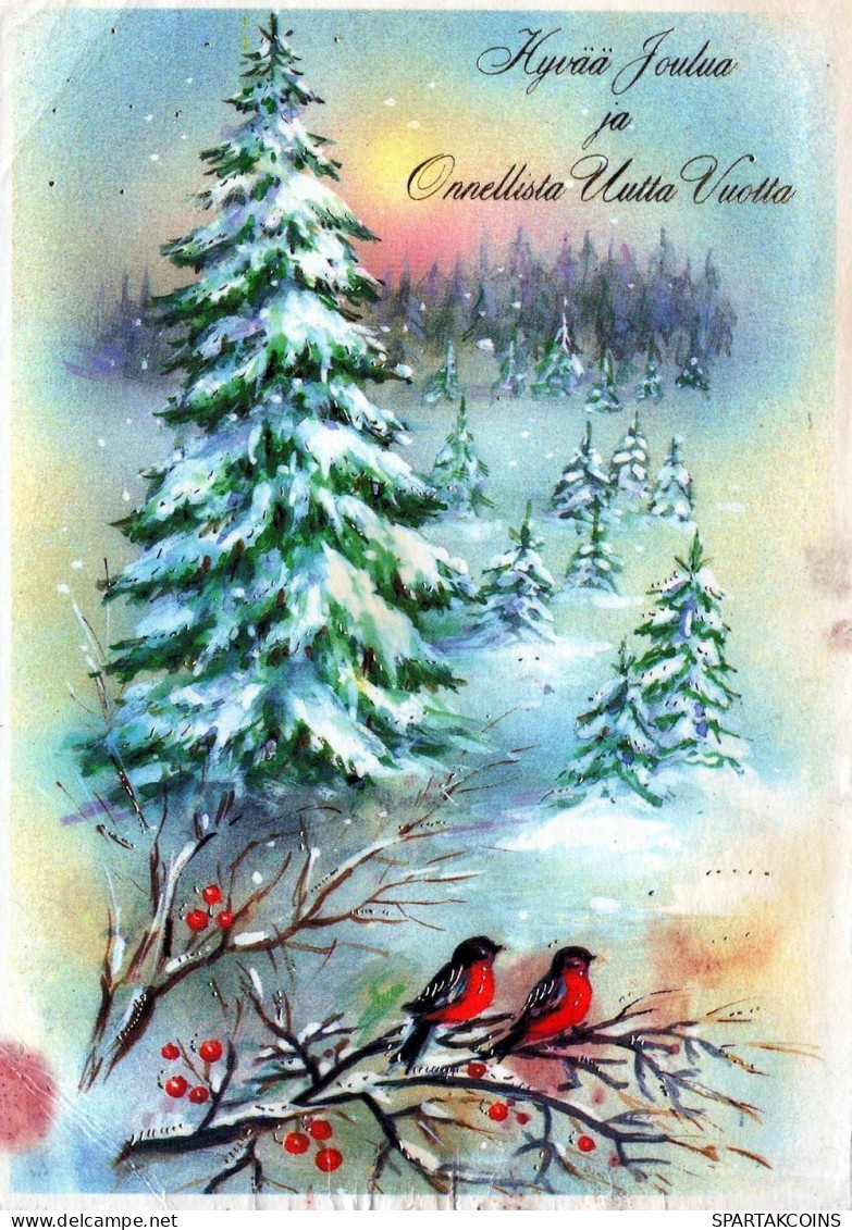 OISEAU Animaux Vintage Carte Postale CPSM #PAM974.A - Birds