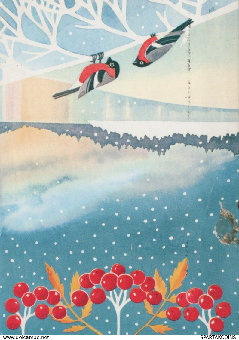OISEAU Animaux Vintage Carte Postale CPSM #PAN015.A - Oiseaux