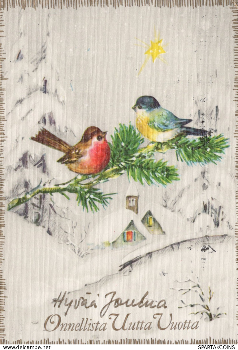 VOGEL Tier Vintage Ansichtskarte Postkarte CPSM #PAM970.A - Vögel