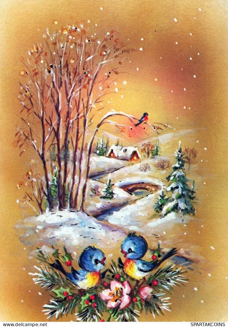 BIRD Animals Vintage Postcard CPSM #PAM966.A - Vogels
