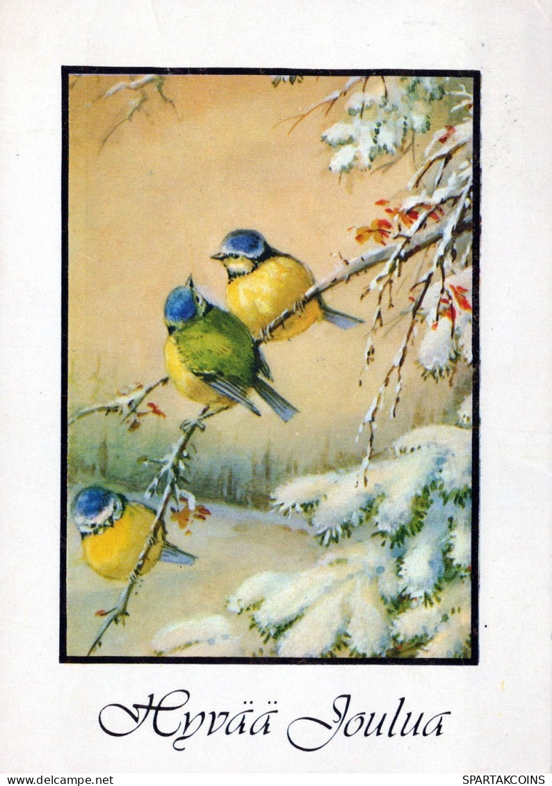 PÁJARO Animales Vintage Tarjeta Postal CPSM #PAM842.A - Birds