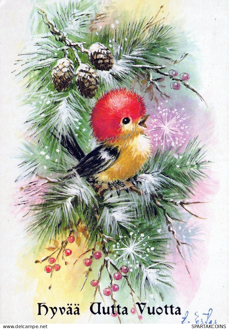BIRD Animals Vintage Postcard CPSM #PAM746.A - Vogels
