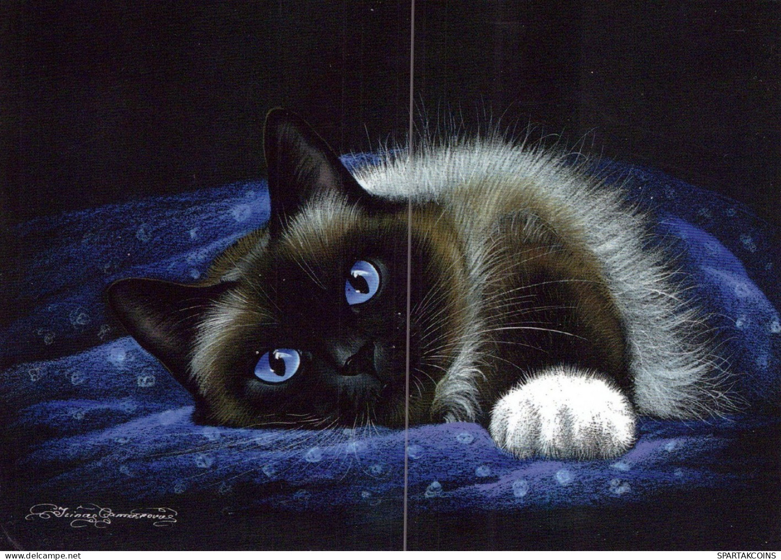 KATZE MIEZEKATZE Tier Vintage Ansichtskarte Postkarte CPSM #PAM415.A - Katten
