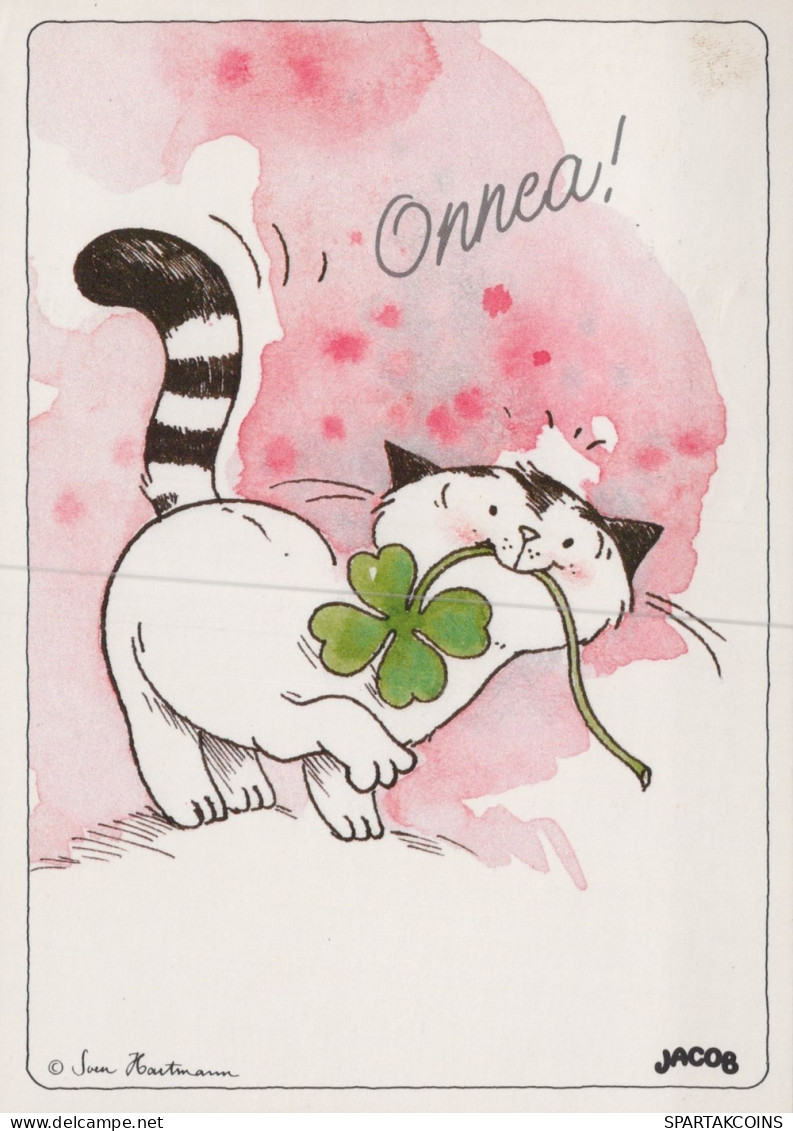 GATTO KITTY Animale Vintage Cartolina CPSM #PAM213.A - Gatos