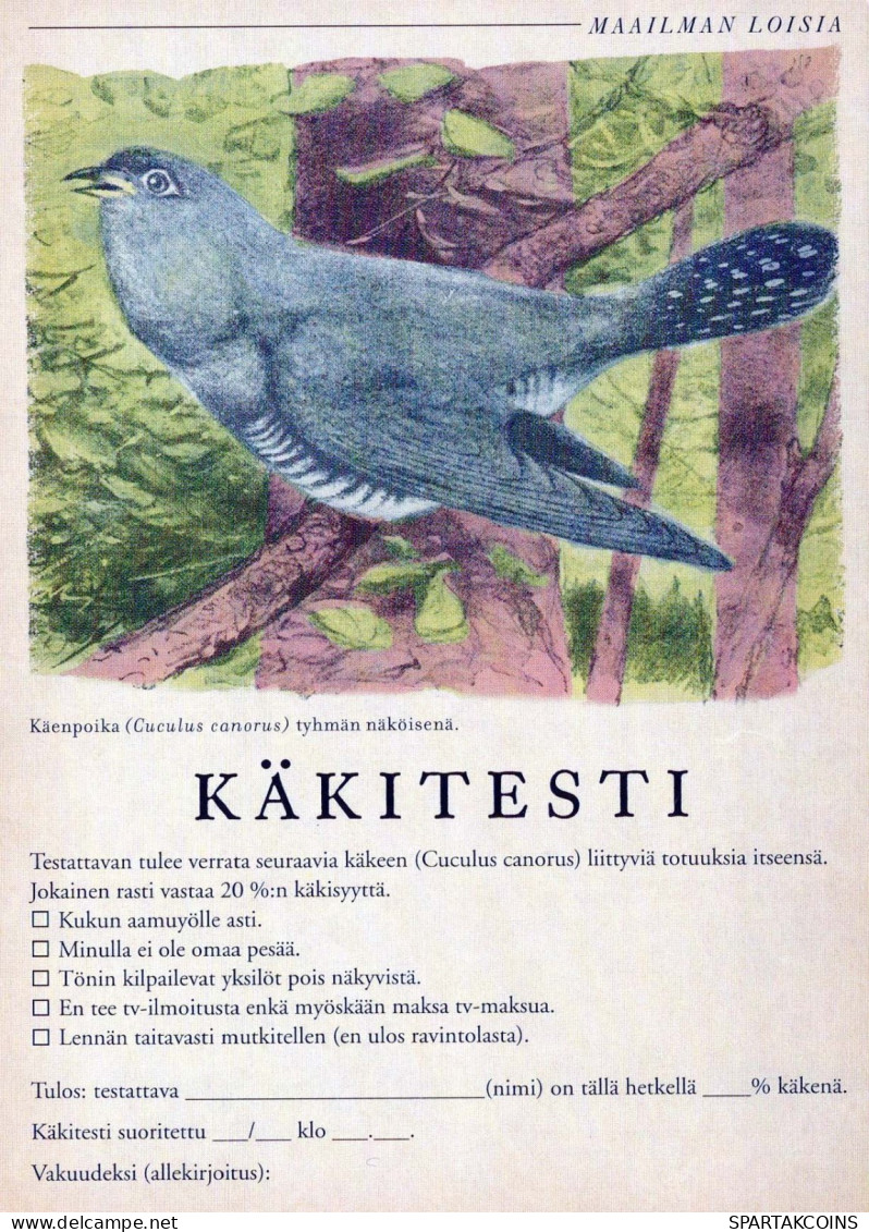 VOGEL Tier Vintage Ansichtskarte Postkarte CPSM #PBR718.A - Vögel