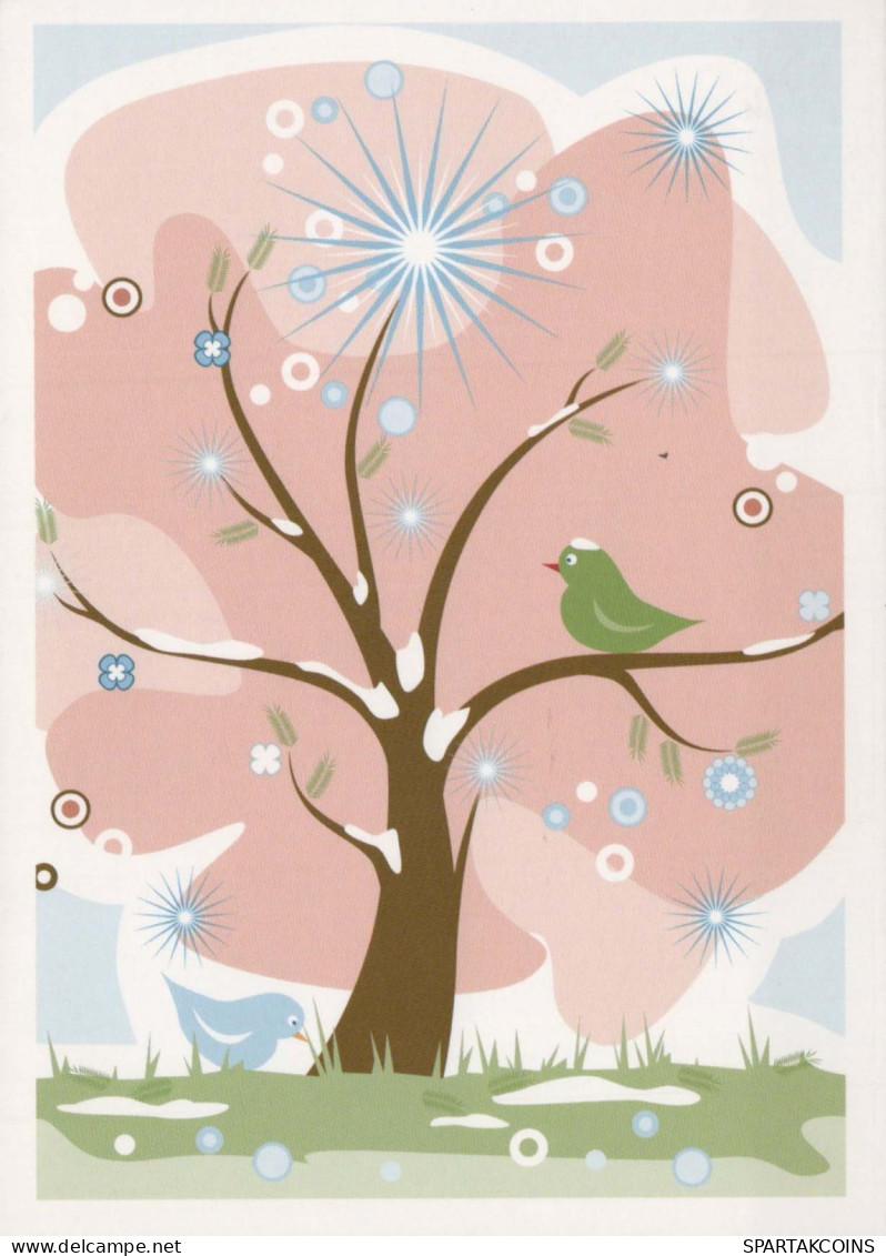 OISEAU Animaux Vintage Carte Postale CPSM #PBR472.A - Birds