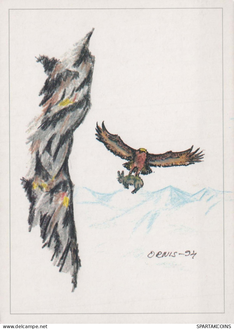 UCCELLO Animale Vintage Cartolina CPSM #PBR431.A - Vögel