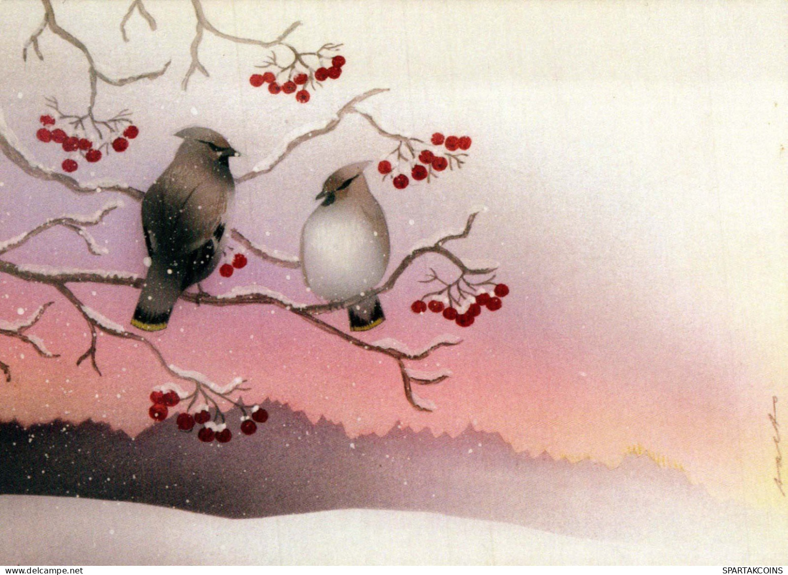 UCCELLO Animale Vintage Cartolina CPSM #PBR386.A - Pájaros