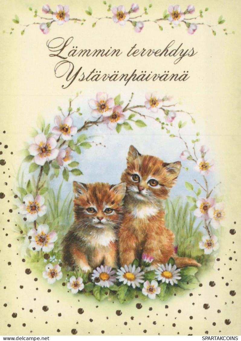 GATO GATITO Animales Vintage Tarjeta Postal CPSM #PBQ914.A - Cats