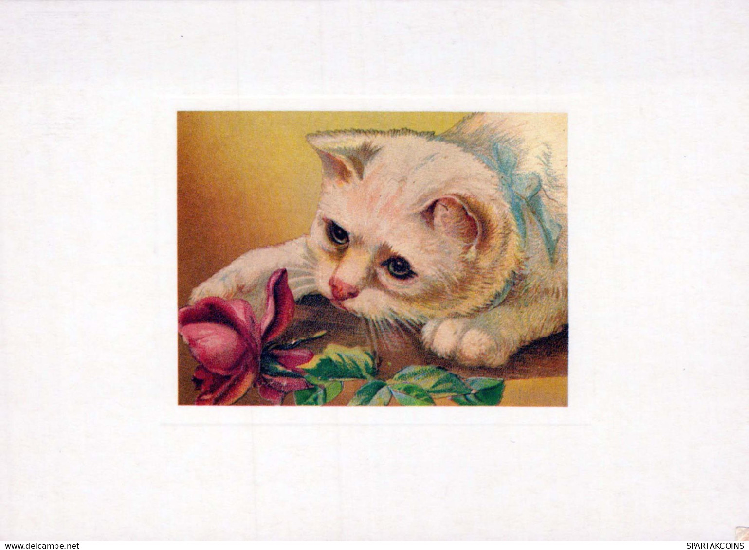 CHAT CHAT Animaux Vintage Carte Postale CPSM #PBQ796.A - Cats