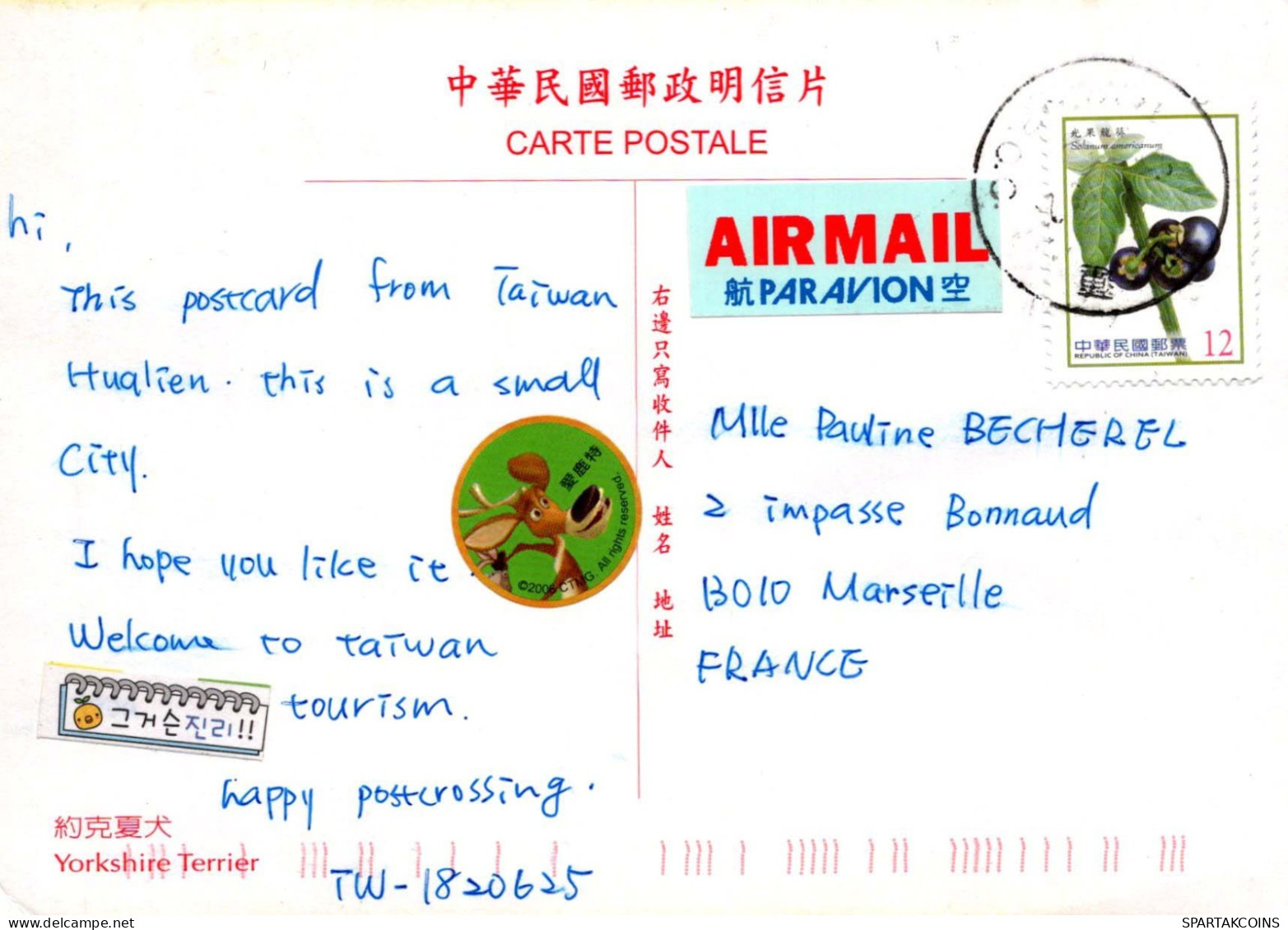 CHIEN Animaux Vintage Carte Postale CPSM #PBQ571.A - Chiens