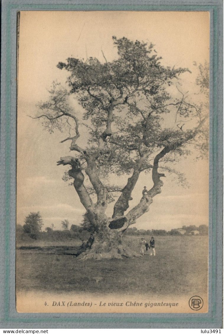 CPA - (40) DAX- Thème: ARBRE - Aspect Du Vieux Chêne Gigantesque Au Début Du Siècle - Dax