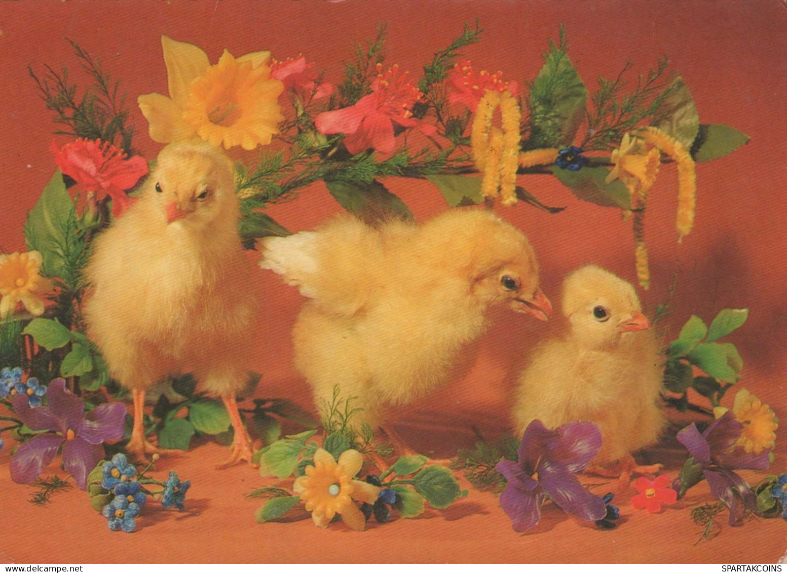 PÂQUES POULET Vintage Carte Postale CPSM #PBO934.A - Easter