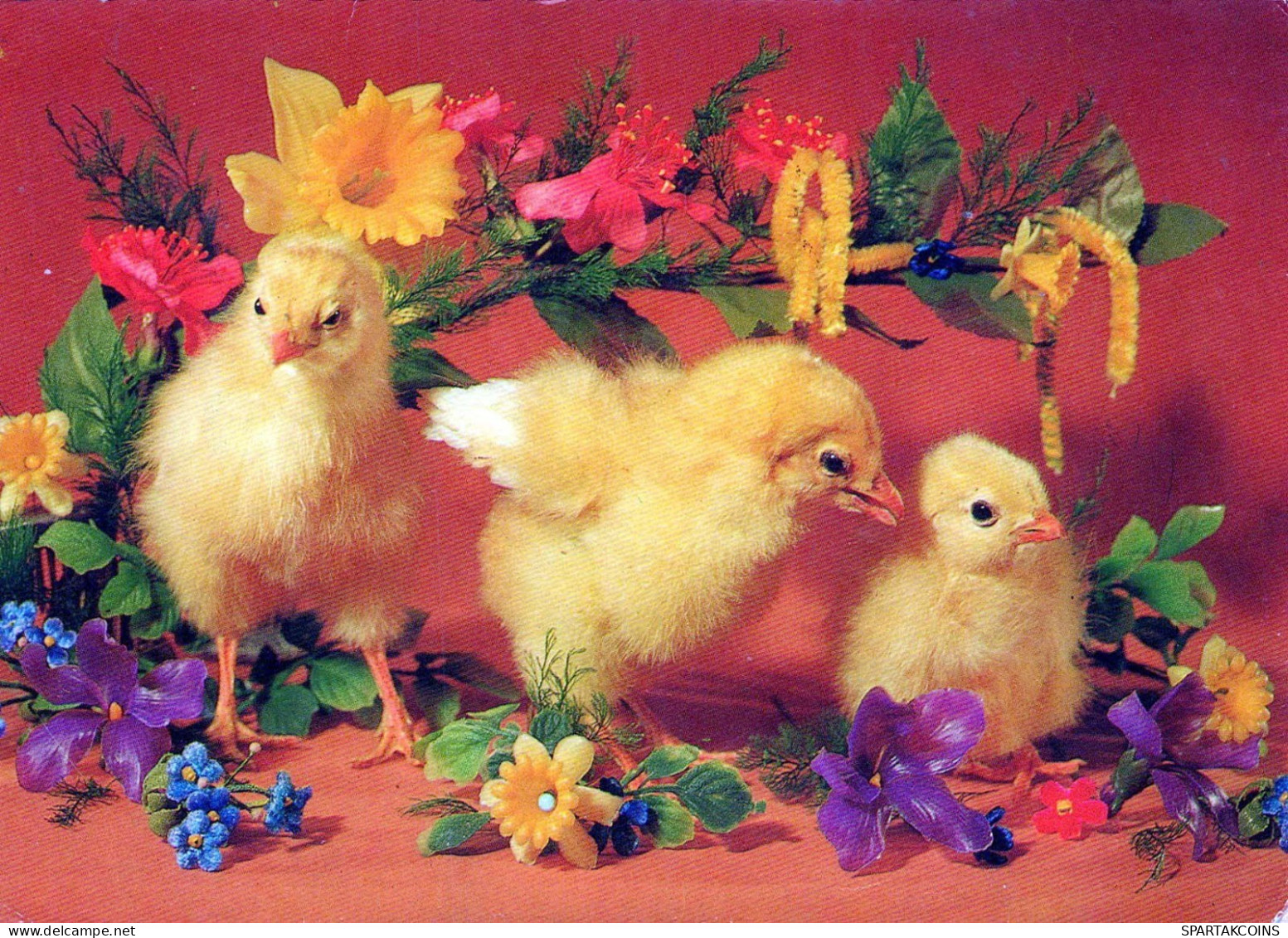 PÂQUES POULET Vintage Carte Postale CPSM #PBO934.A - Ostern