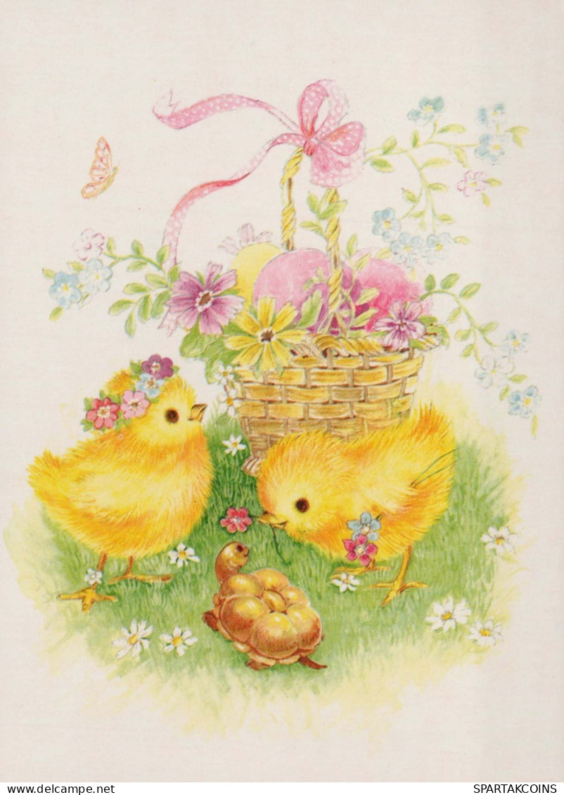 PÂQUES POULET ŒUF Vintage Carte Postale CPSM #PBO719.A - Easter