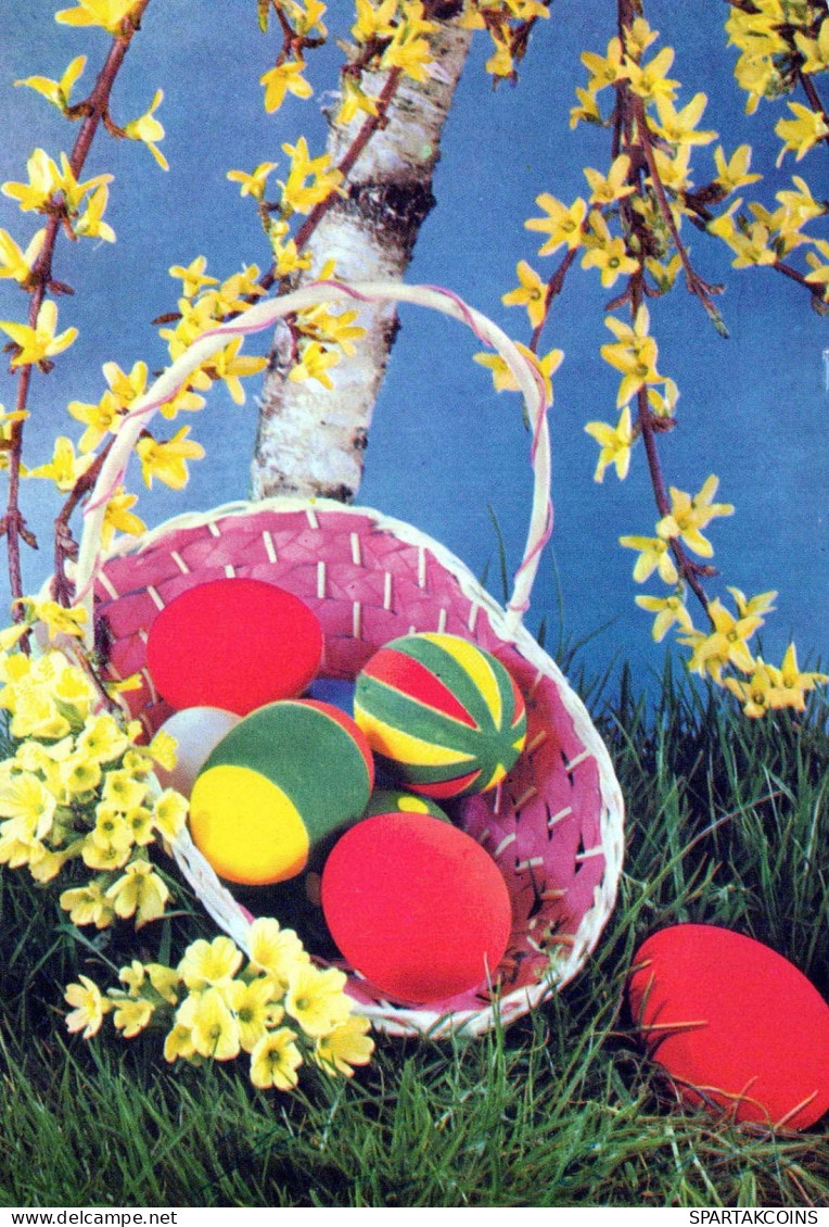 PÂQUES ŒUF Vintage Carte Postale CPSM #PBO159.A - Easter