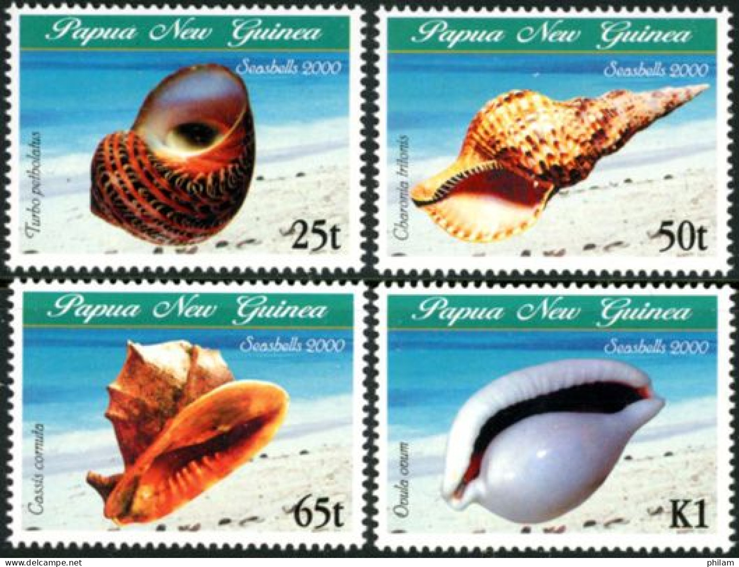 PAPUA NEW GUINEA 2000 - Coquillages De Mer - 4 V. - Papúa Nueva Guinea