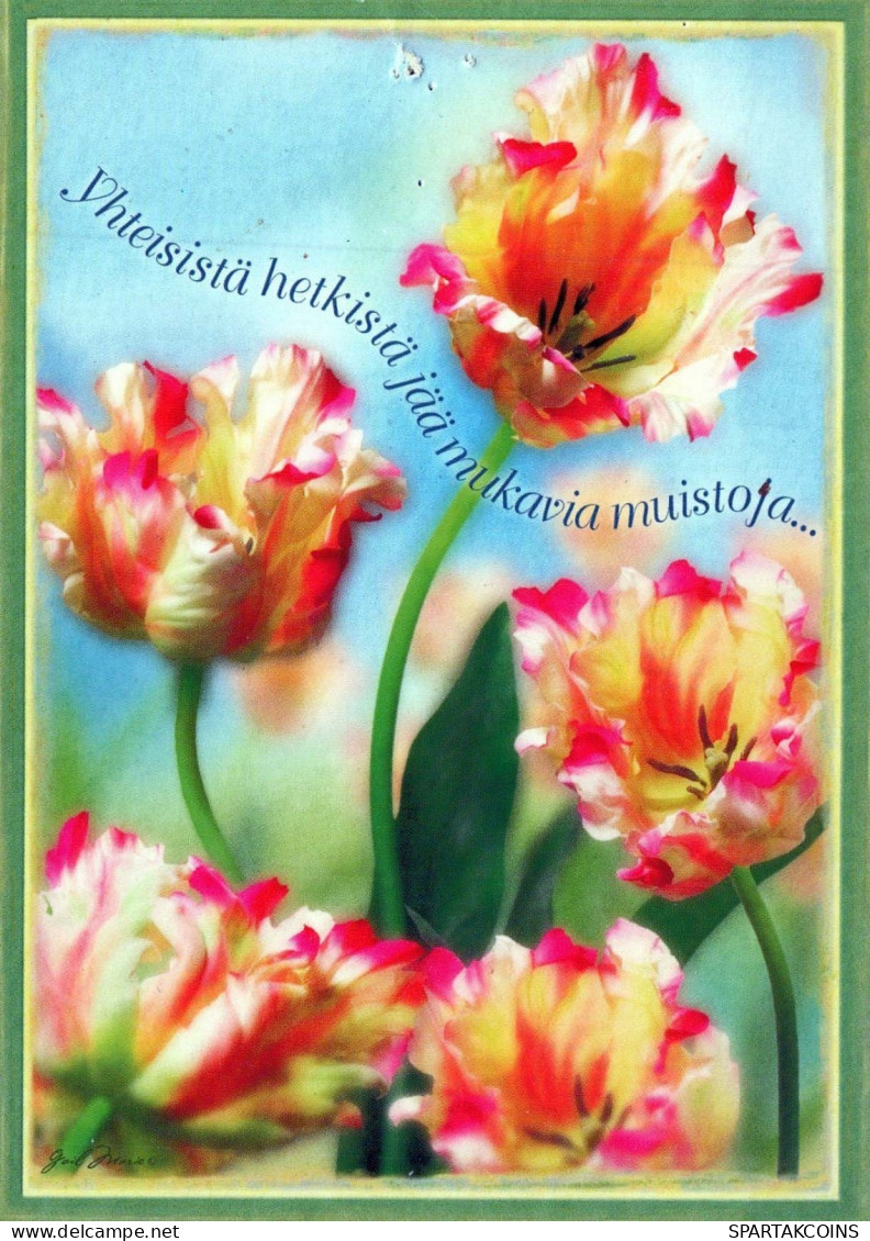 FIORI Vintage Cartolina CPSM #PBZ341.A - Flowers