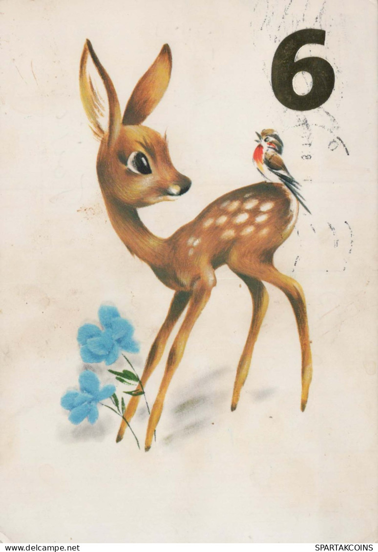 CIERVOS Animales Vintage Tarjeta Postal CPSM #PBS566.A - Other & Unclassified