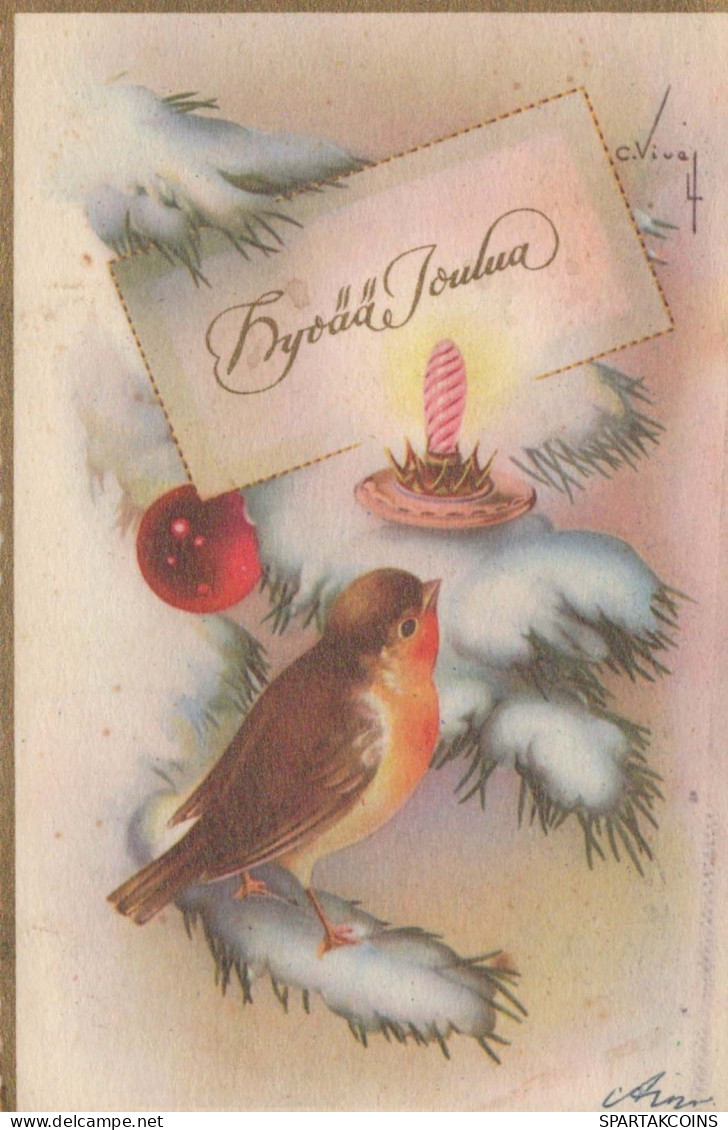 UCCELLO Vintage Cartolina CPSMPF #PKG966.A - Birds