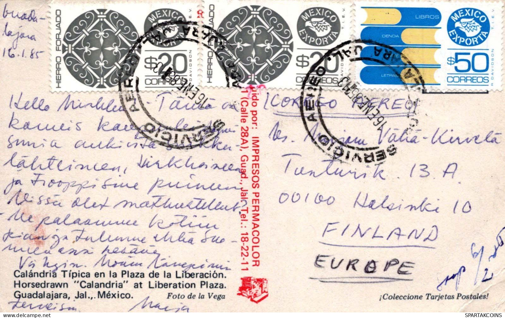 CABALLO Animales Vintage Tarjeta Postal CPA #PKE872.A - Pferde