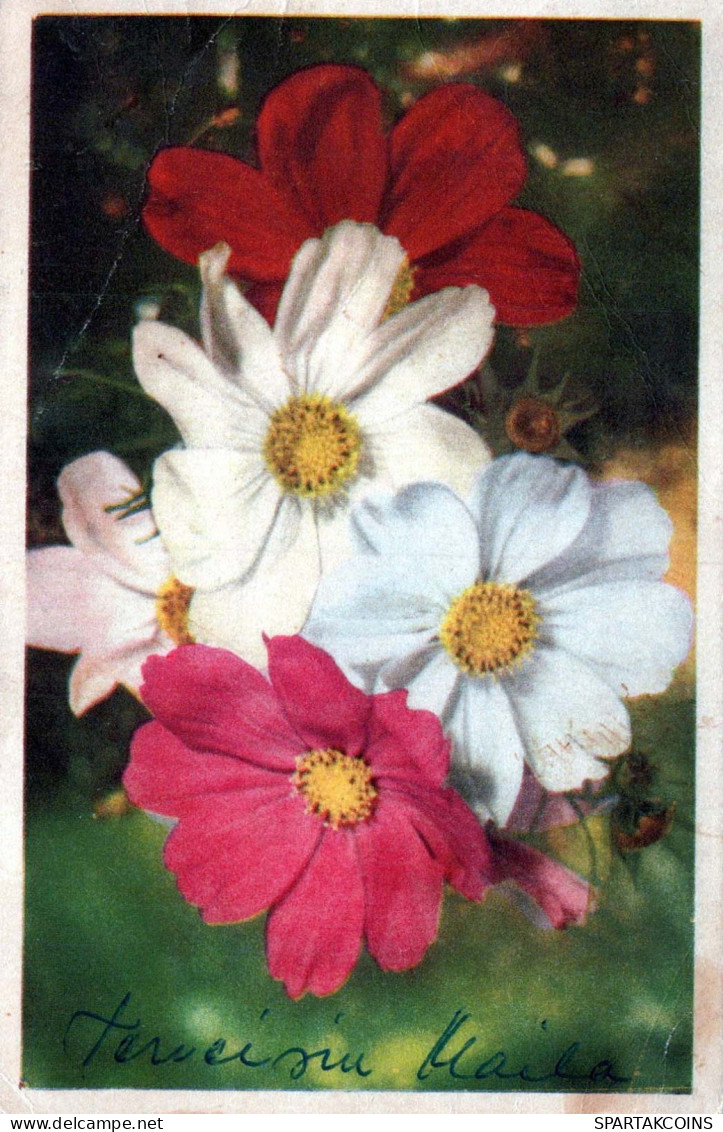 FIORI Vintage Cartolina CPA #PKE663.A - Fleurs