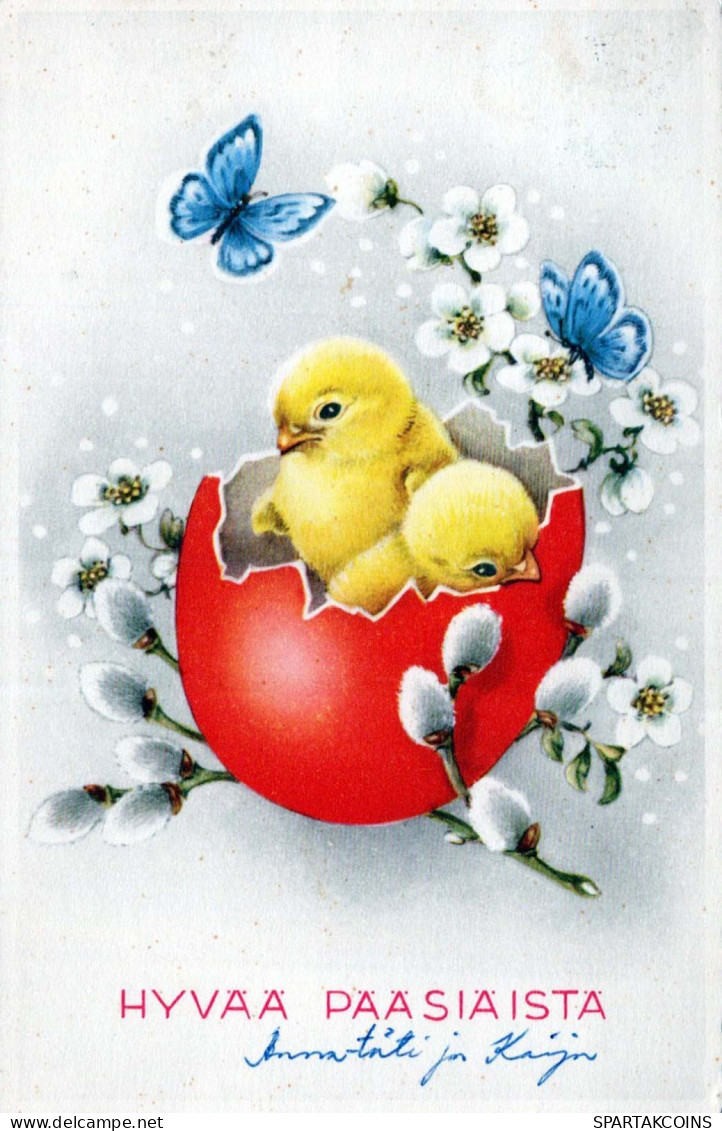 PÂQUES POULET ŒUF Vintage Carte Postale CPA #PKE114.A - Ostern