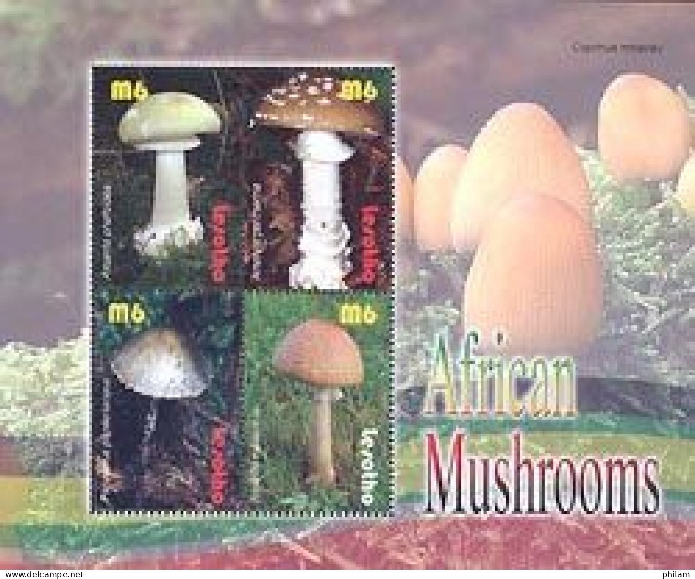 LESOTHO 2007 - Champignons D'afrique - Feuillet ( Amanita Phaloides) - Lesotho (1966-...)