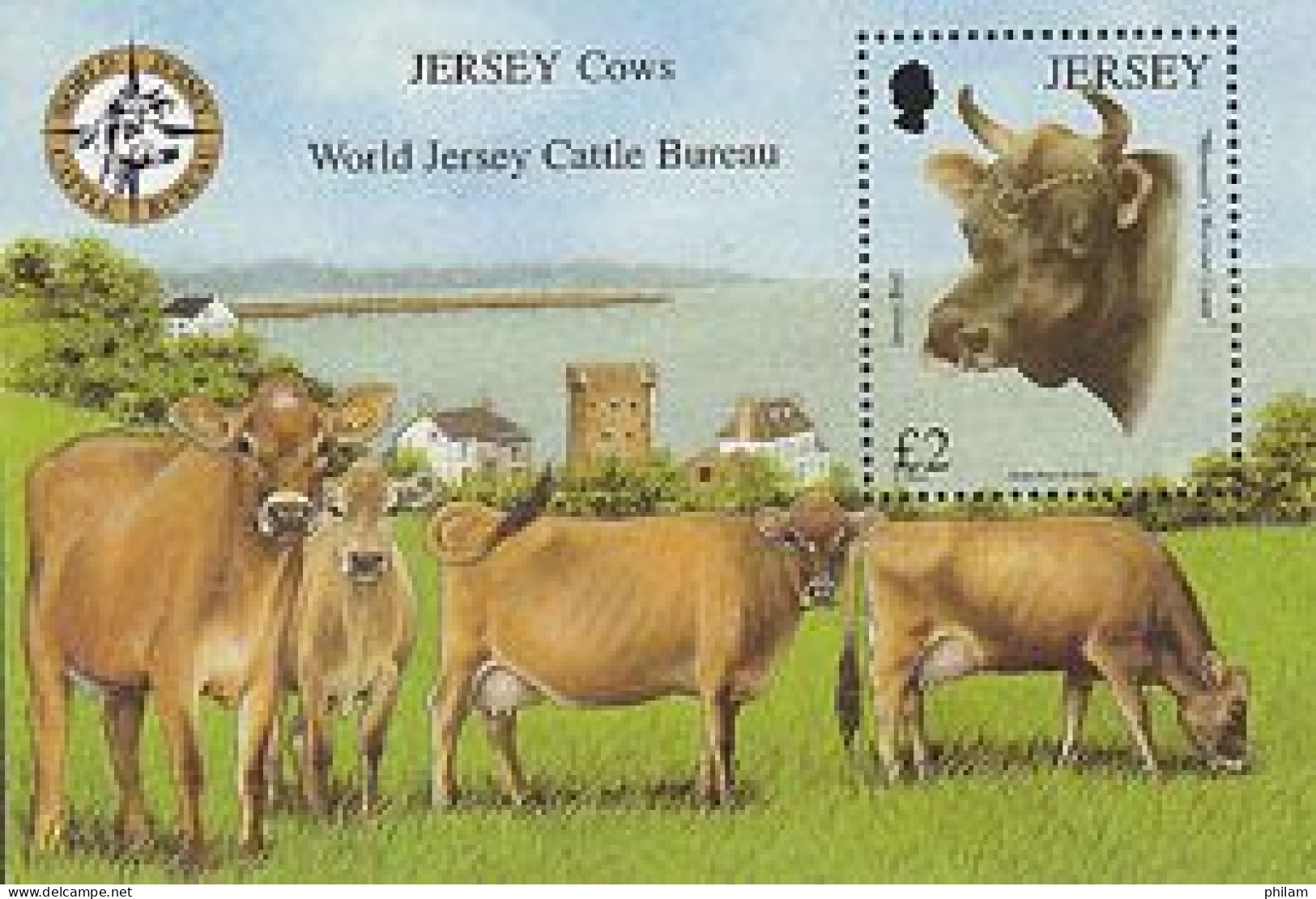 JERSEY 2008 - Les Vaches De Jersey - Bétail - 1 BF. - Jersey